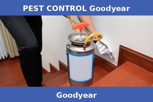 PEST CONTROL Goodyear